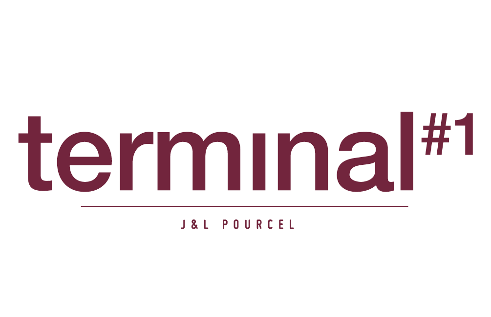 Logo-Terminal_Violet
